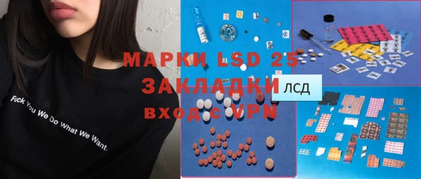 индика Алексеевка