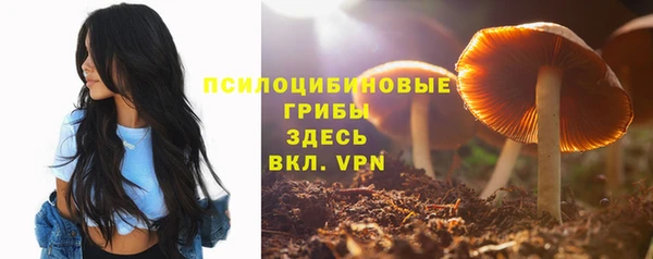 мет Абинск