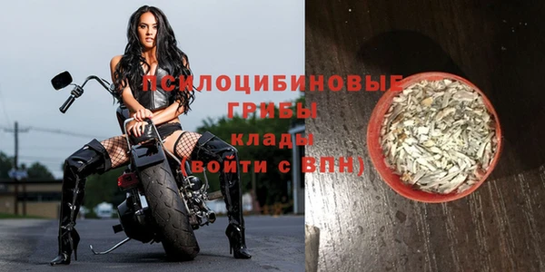 героин Абаза