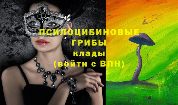 героин Абаза